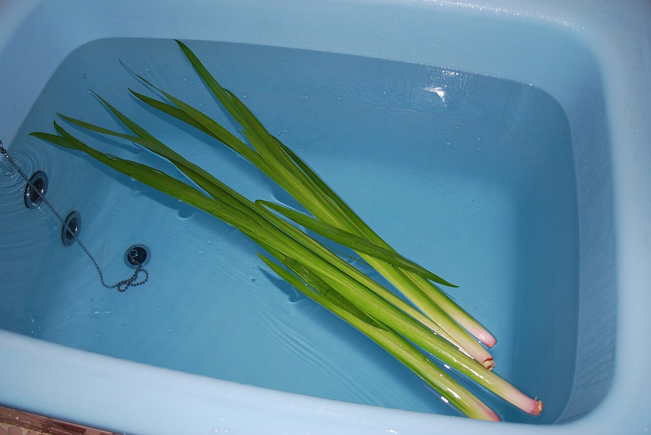 菖蒲湯（ショウブ湯）香取市・端午の節句